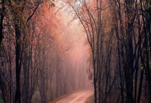 天涯神贴1000是天涯论坛上一个超级经典的帖子，后来成为很多人回忆的焦点，里面的故事让我眼前一亮！